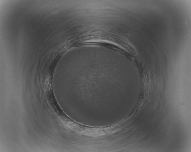 X0000078870029200611201351