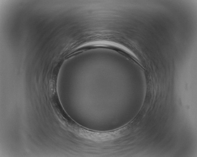 X0000078870031200611201351