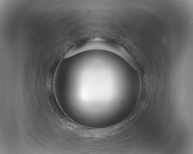 X0000078870033200611201351