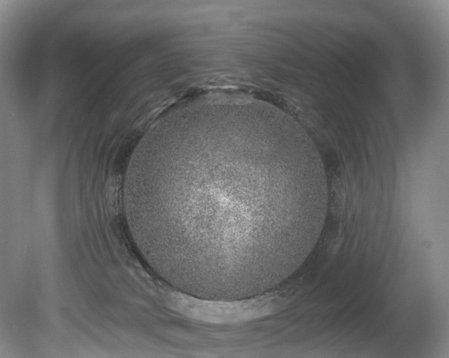 X0000078870034200611201351