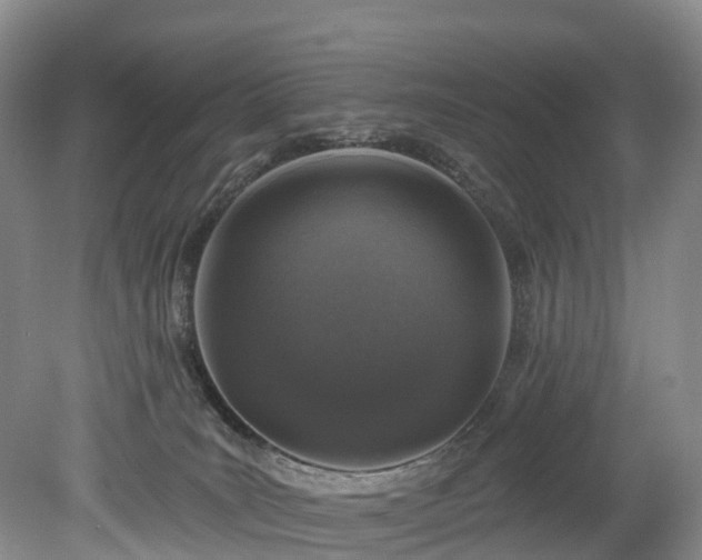 X0000078870035200611201351
