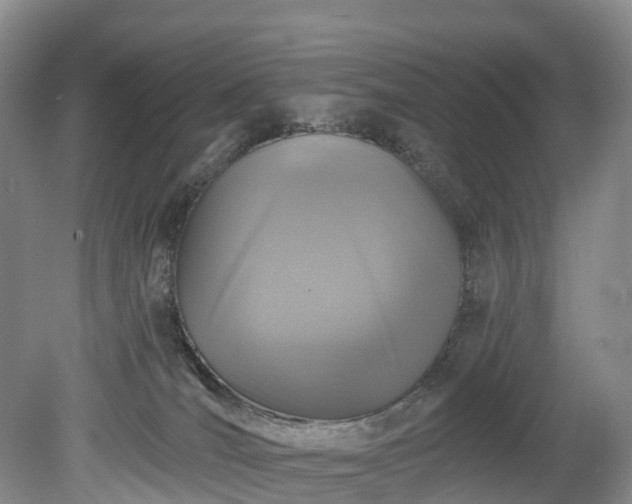 X0000078870036200611201351