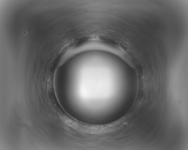 X0000078870037200611201351