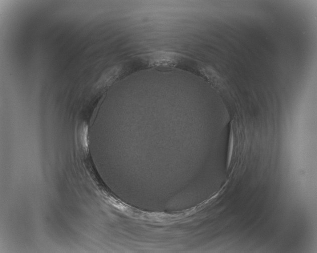 X0000078870041200611201351