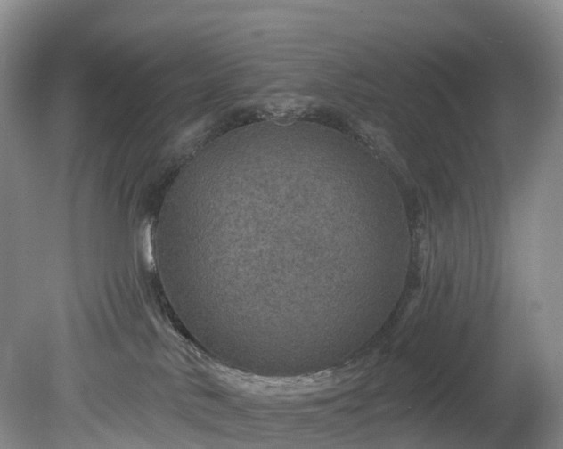 X0000078870042200611201351