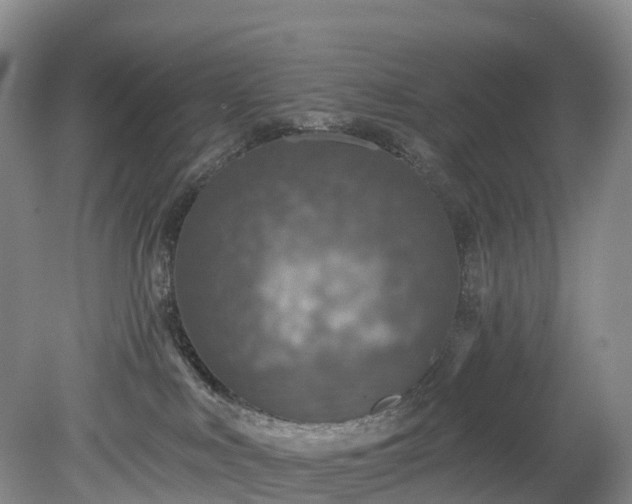 X0000078870043200611201351
