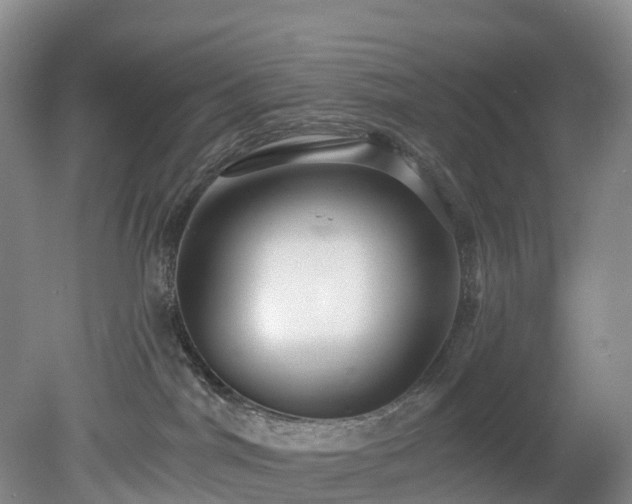 X0000078870044200611201351