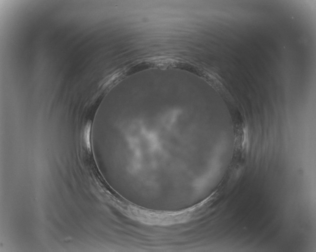 X0000078870047200611201351
