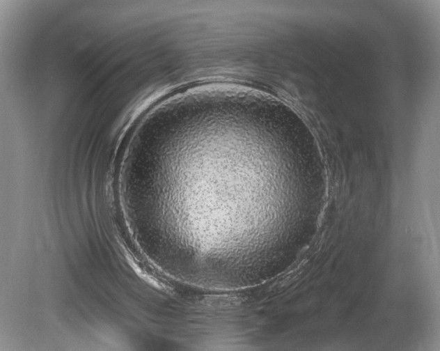 X0000078870050200611201350
