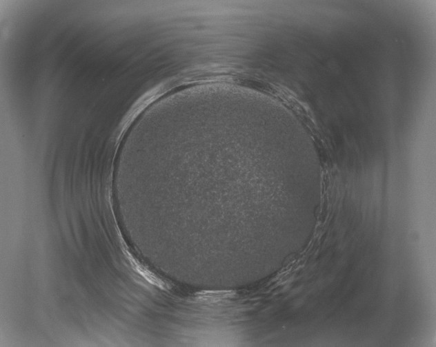 X0000078870051200611201350
