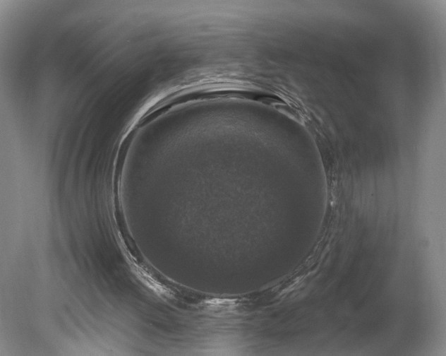 X0000078870052200611201350