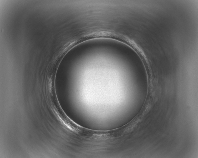 X0000078870057200611201350