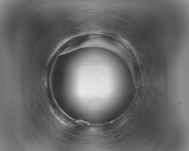 X0000078870060200611201350