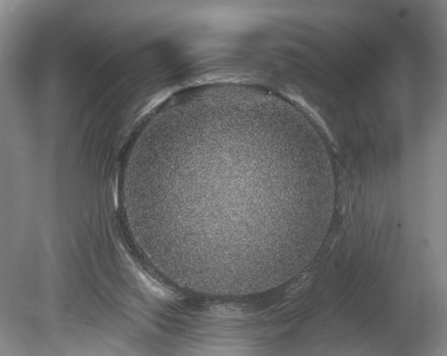 X0000078870062200611201350