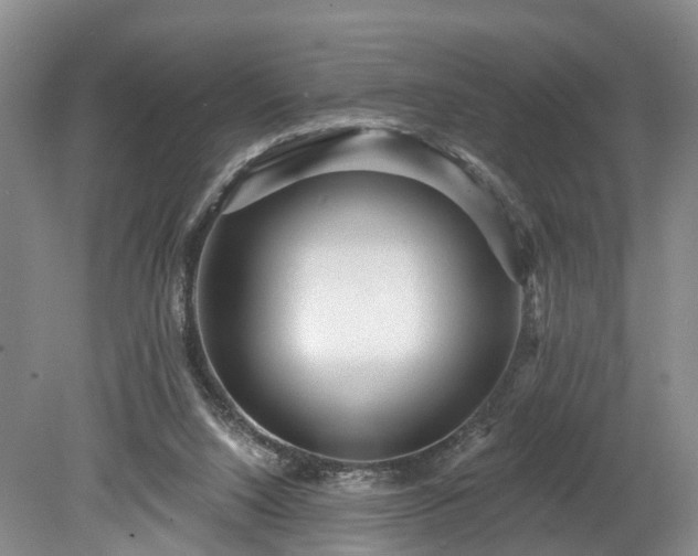 X0000078870064200611201350