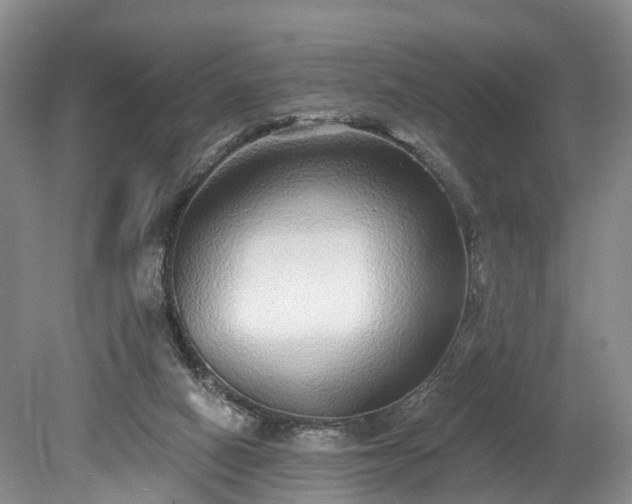 X0000078870066200611201350