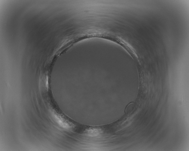X0000078870067200611201350