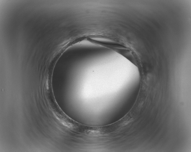 X0000078870068200611201350