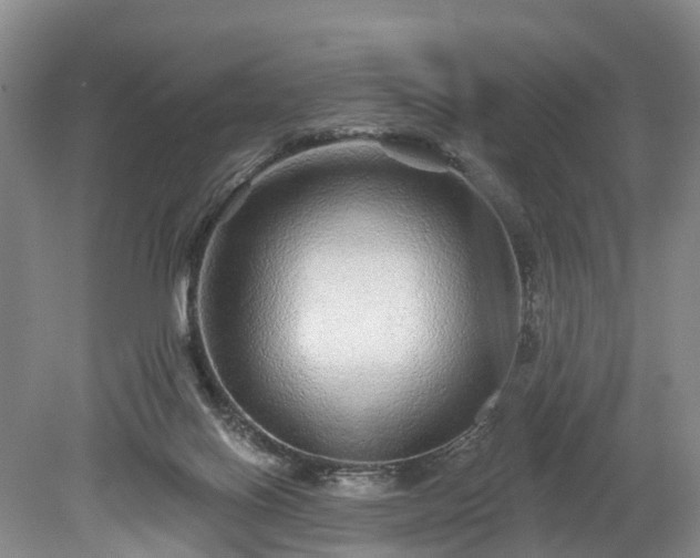 X0000078870070200611201350