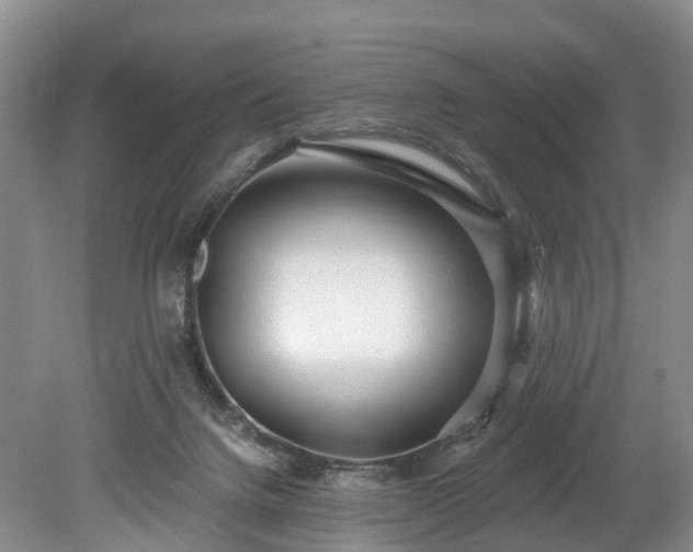 X0000078870072200611201350