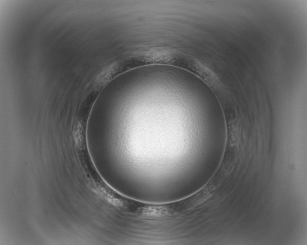 X0000078870077200611201350