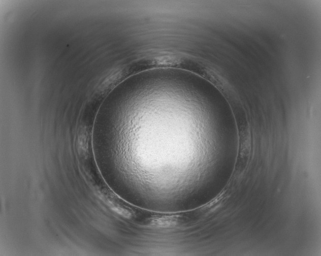 X0000078870078200611201350