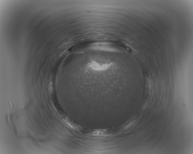 X0000078870080200611201351