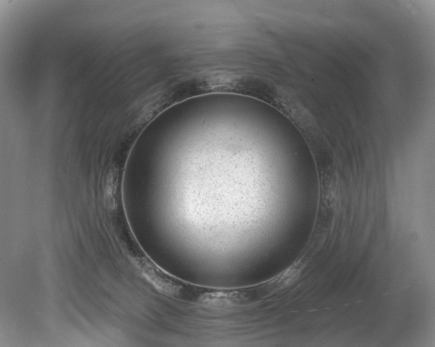 X0000078870082200611201351