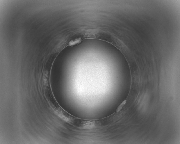 X0000078870083200611201351