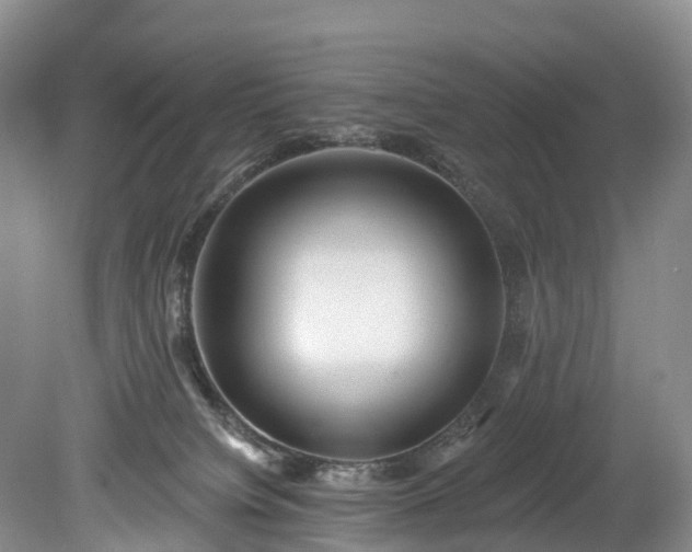 X0000078870084200611201351