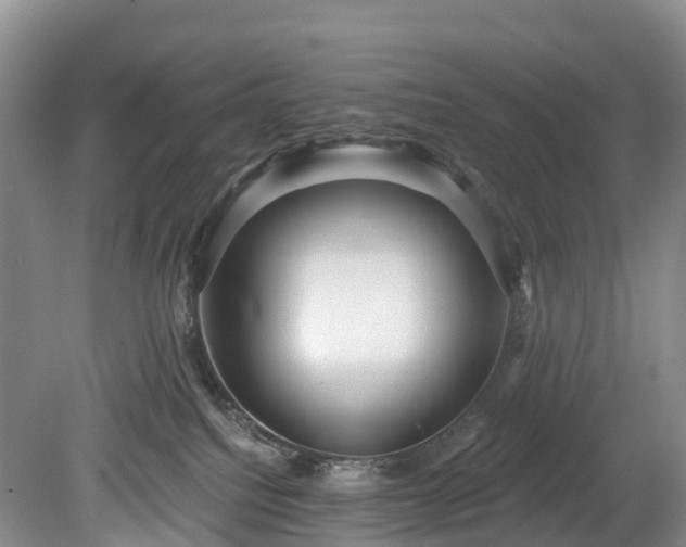 X0000078870088200611201351