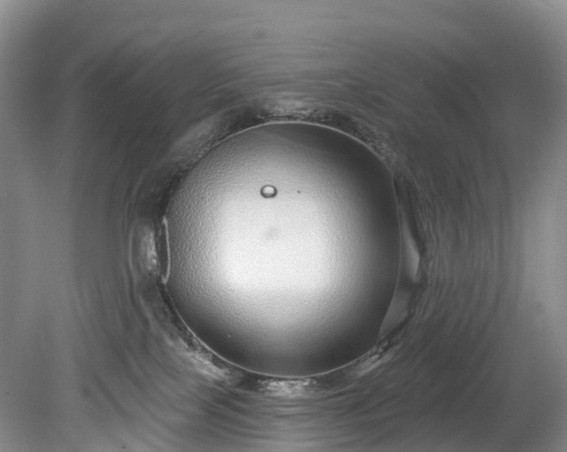 X0000078870089200611201351