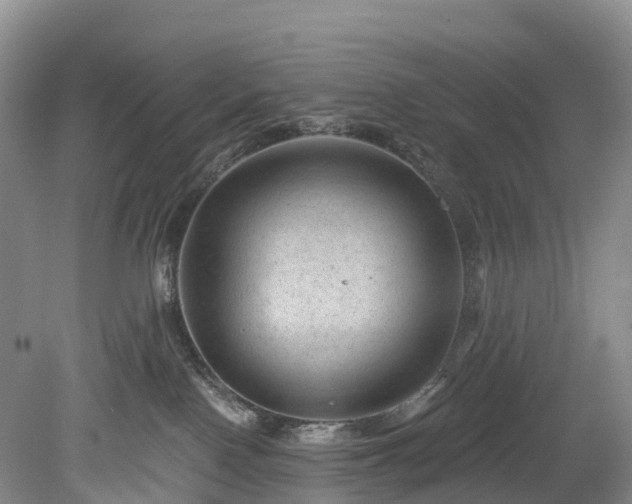 X0000078870090200611201351