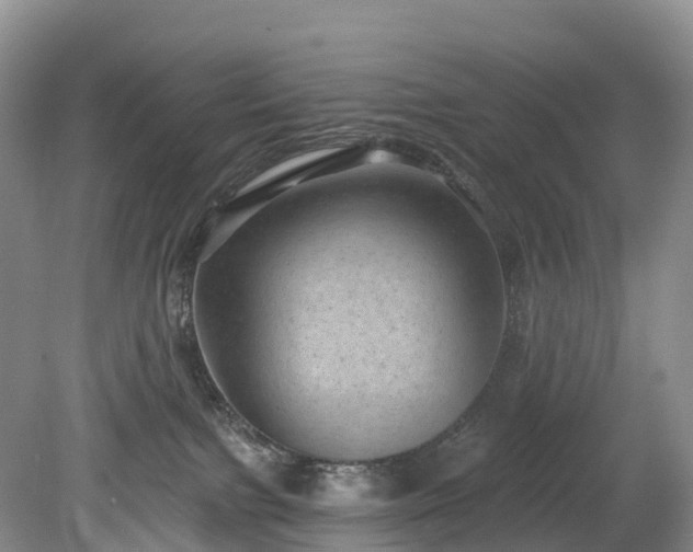 X0000078870091200611201351