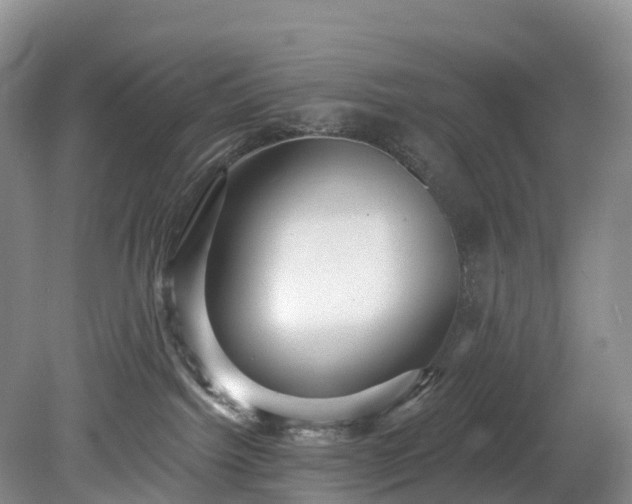 X0000078870092200611201351