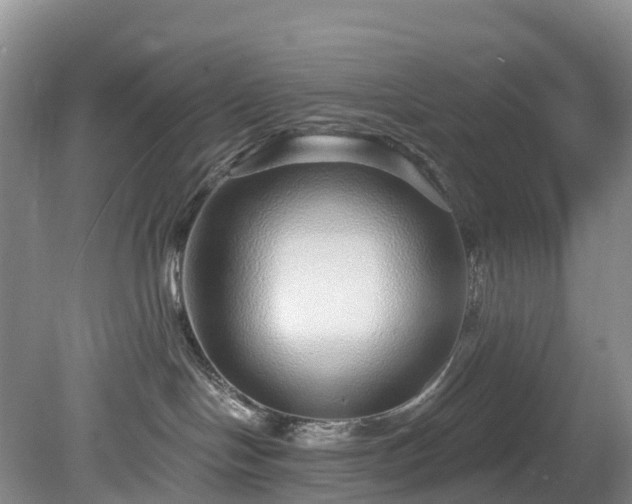 X0000078870094200611201351