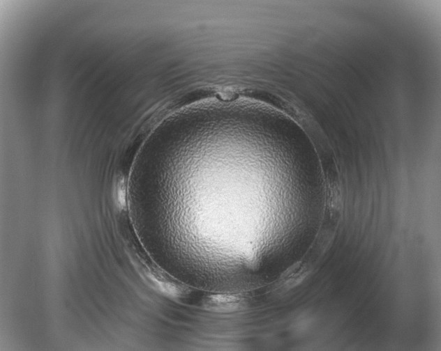 X0000078870095200611201351