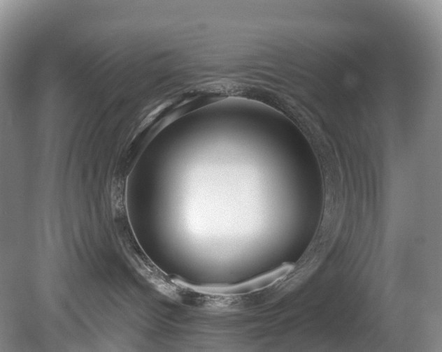 X0000078870096200611201351