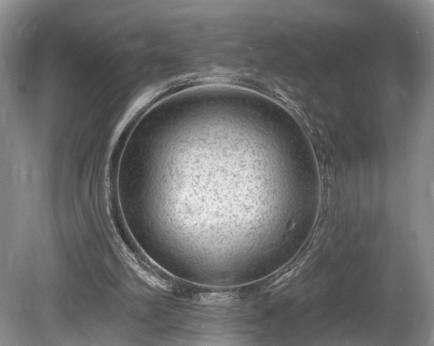 X0000078870102200611201350