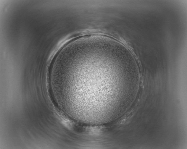 X0000078870103200611201350