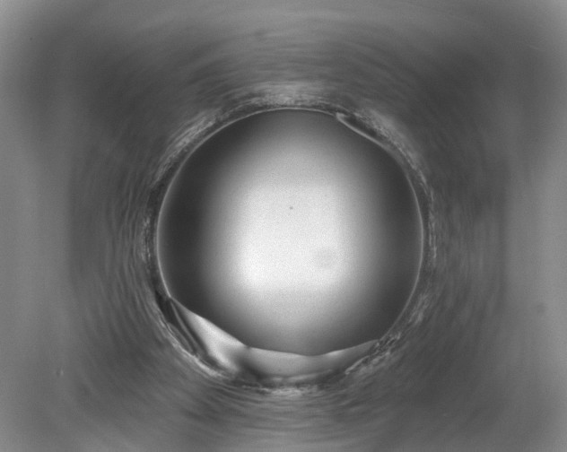 X0000078870105200611201350