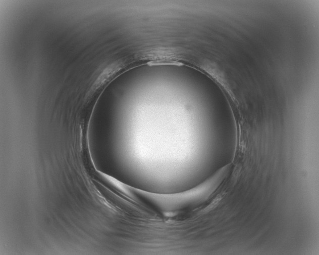 X0000078870109200611201350