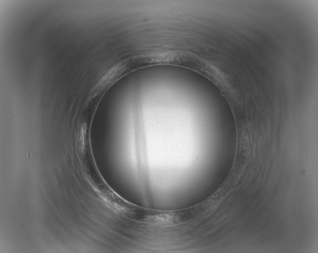 X0000078870118200611201350