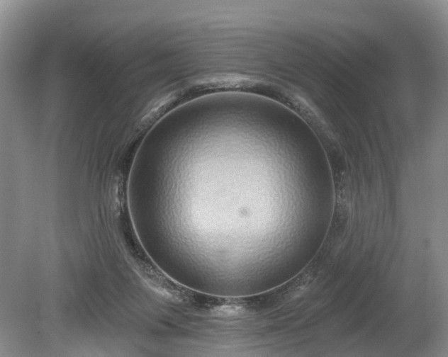 X0000078870119200611201350