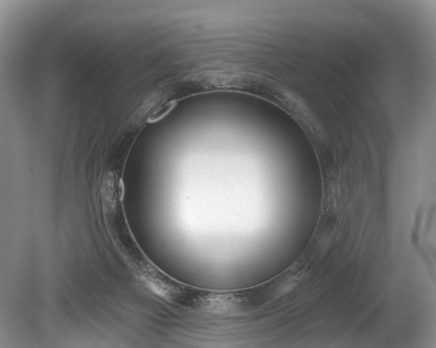 X0000078870121200611201350