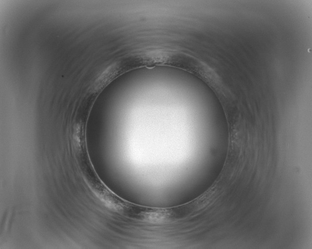 X0000078870122200611201350