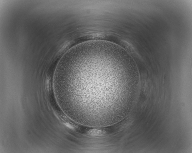 X0000078870123200611201350