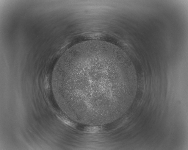 X0000078870131200611201349