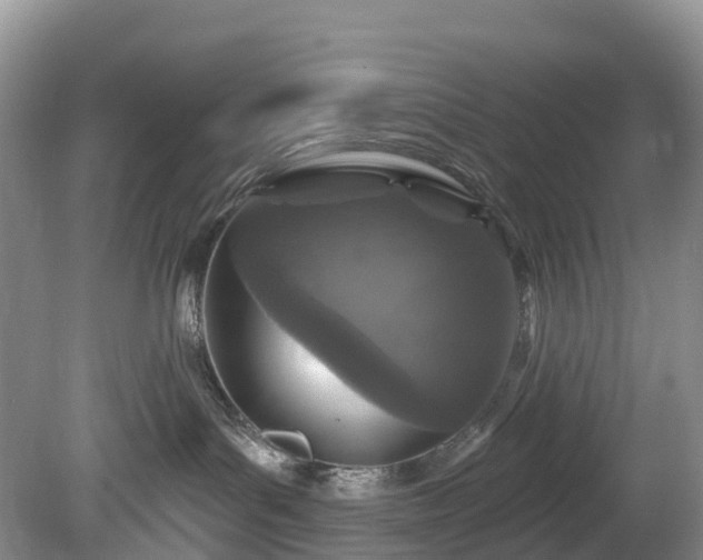 X0000078870143200611201349