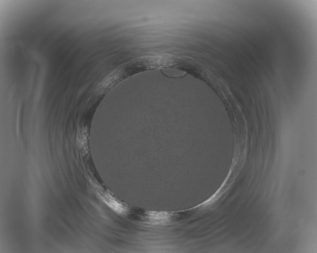 X0000078870144200611201349